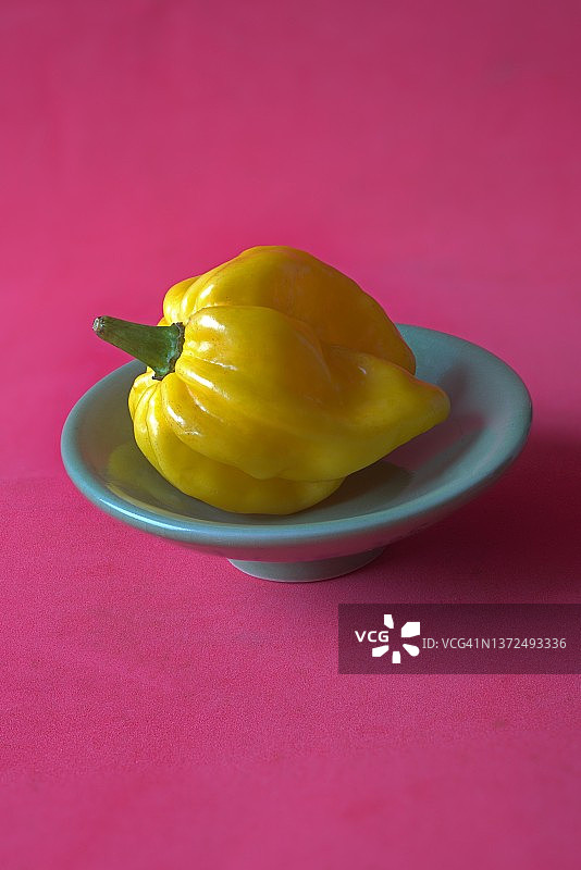 粉色背景上的黄色哈瓦那辣椒图片素材