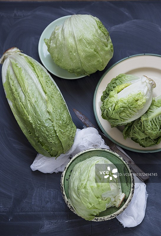 各式生菜图片素材