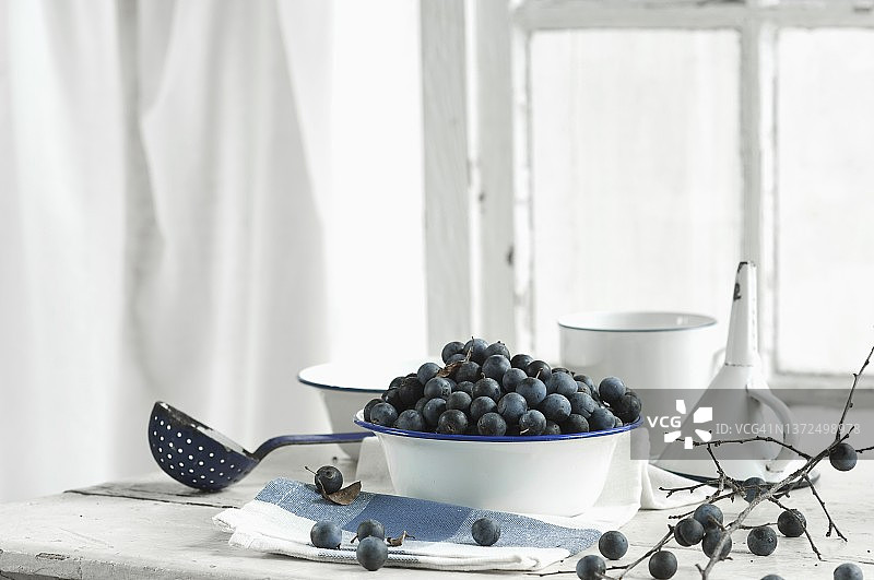 搪瓷碗里的黑刺李果与树枝图片素材