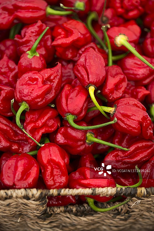 特写：火热的辣椒图片素材