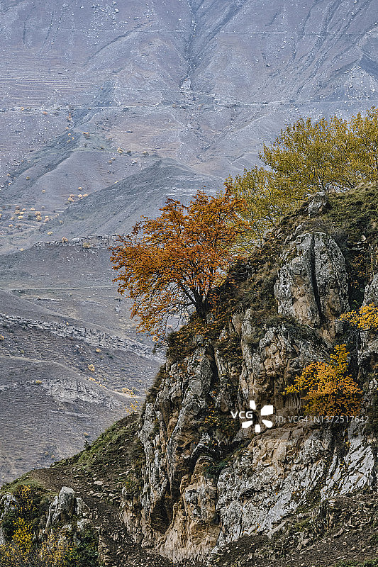 俄罗斯达吉斯坦：秋季山顶树木景观图片素材