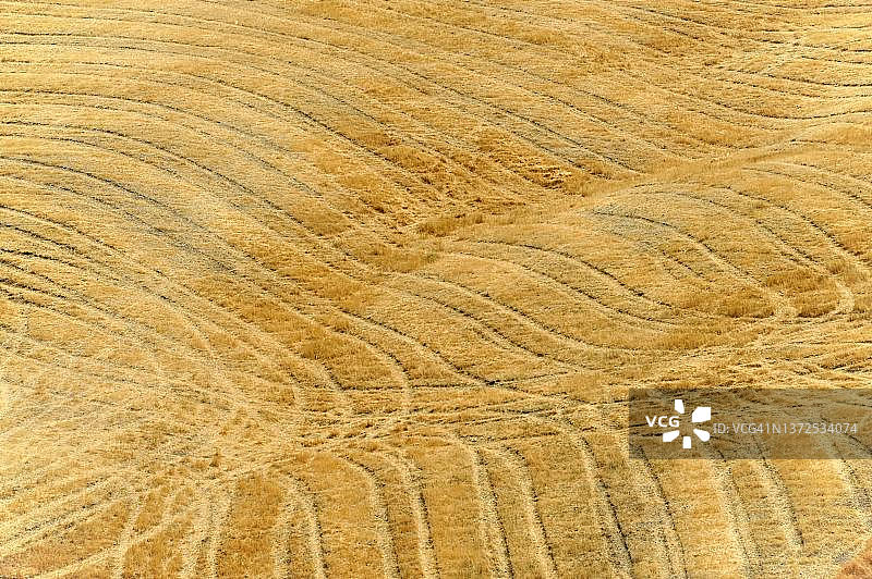 意大利托斯卡纳蒙特普尔恰诺南部的收割后麦田图片素材