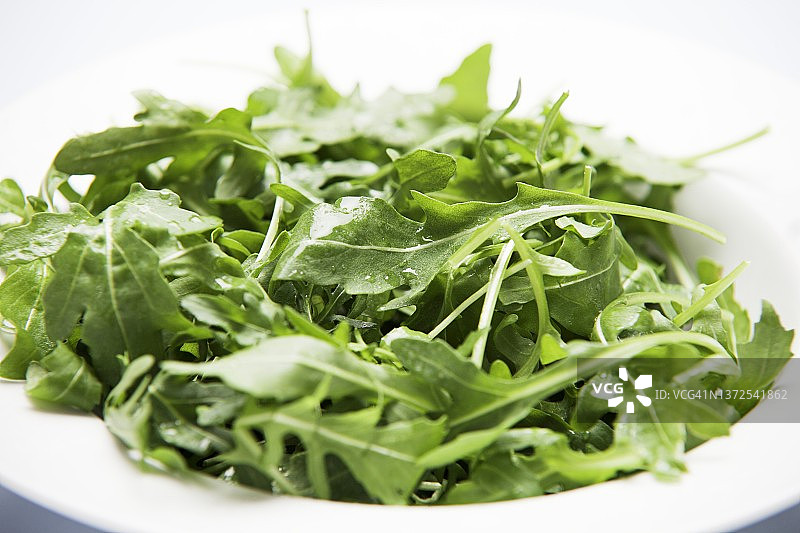 一碗新鲜芝麻菜图片素材