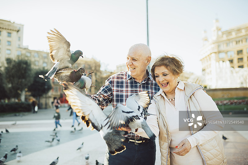 喂鸽子的年长夫妇图片素材