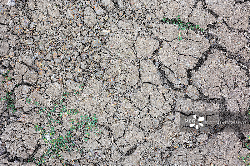 白色干裂黏土背景，自然材质，户外特写图片素材