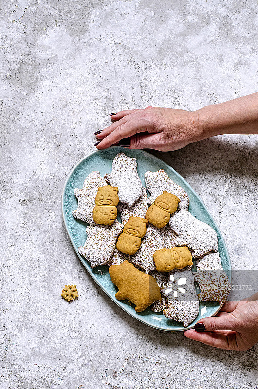 手拿蓝色盘子上猪形姜饼图片素材