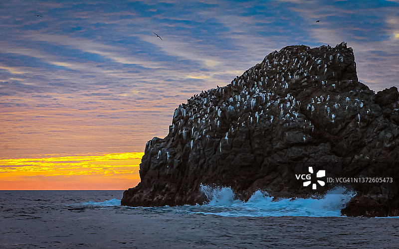 多云天空日落，海浪拍打着覆盖着鸟类和鸟粪的岩层图片素材
