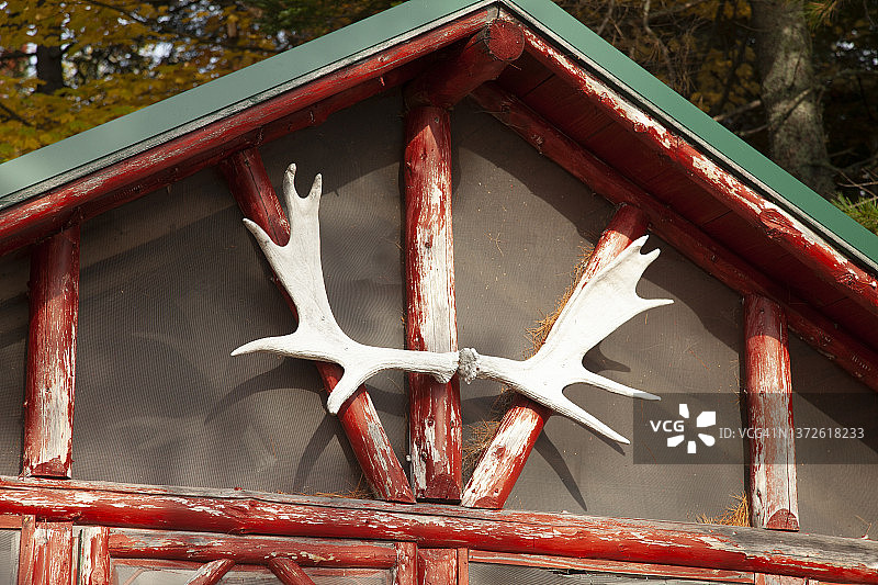 缅因州北部小屋上悬挂的麋鹿角图片素材