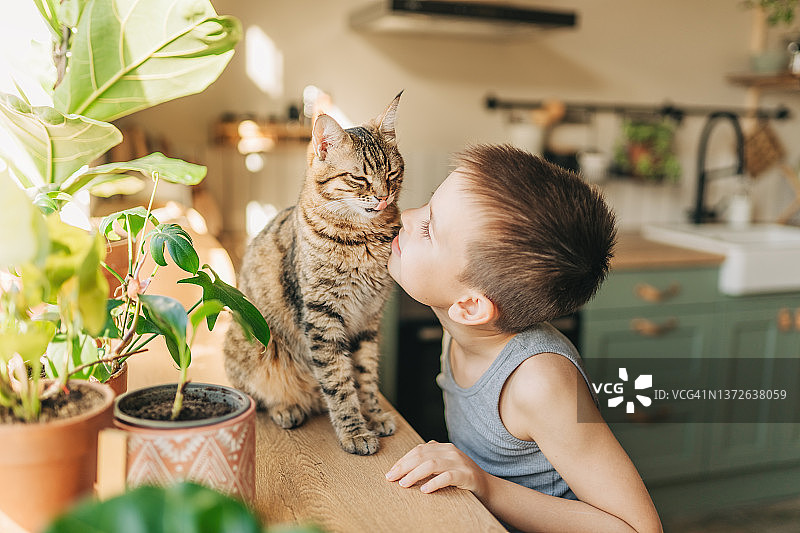 男孩与猫的亲密关系图片素材