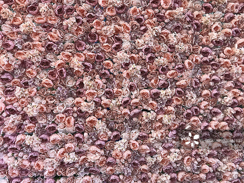 粉色背景上的花朵图片素材