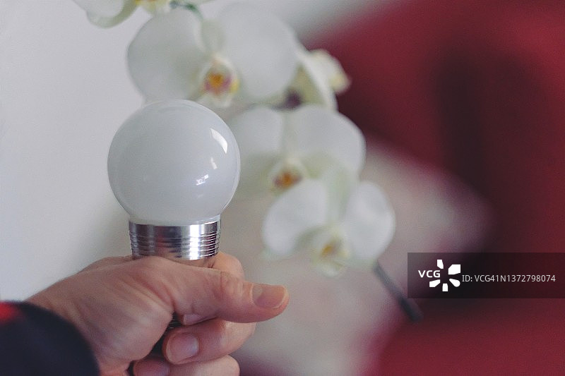 手持节能灯泡，背景是兰花图片素材