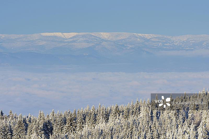 德国巴登-符腾堡州弗莱堡黑森林雪山风光图片素材