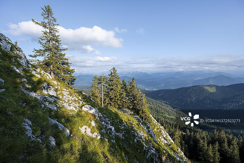 山脉和景观：徒步前往贝内迪克滕万德，巴伐利亚阿尔卑斯山前景观，德国巴伐利亚图片素材