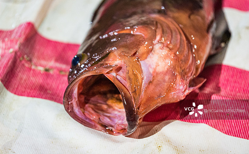 鱼市场上新鲜捕获的红石斑鱼头部特写图片素材