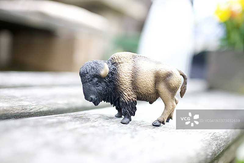 户外的玩具野牛图片素材