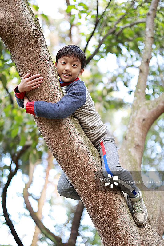 爬树的小男孩图片素材