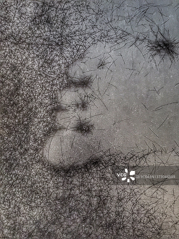 剪掉的头发散落在脚边图片素材