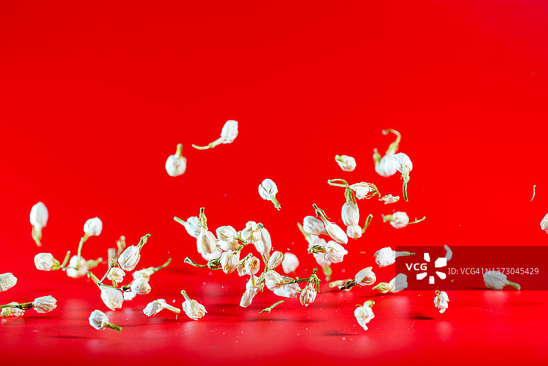 红色背景中飞舞的茉莉花茶图片素材