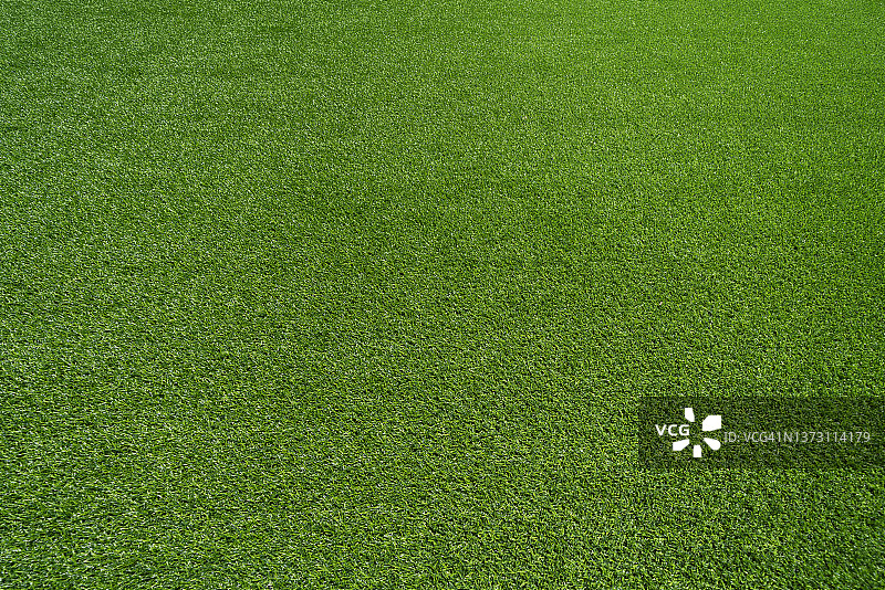 绿草的背景图片素材