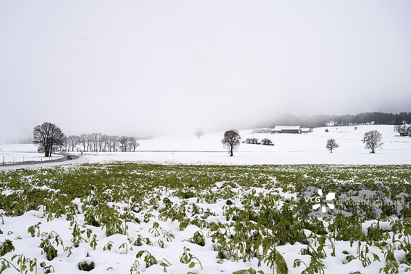瑞士利尼埃尔的乡村风光和山路图片素材