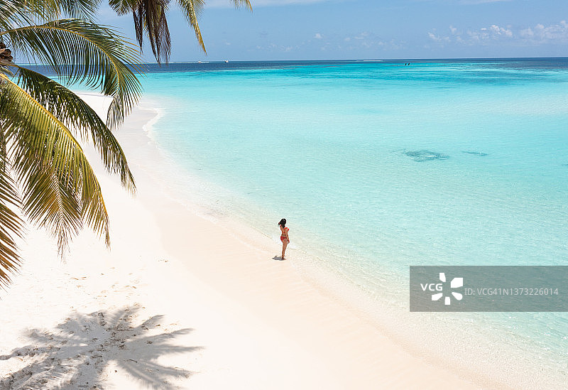 棕榈树下眺望大海的美丽女人图片素材