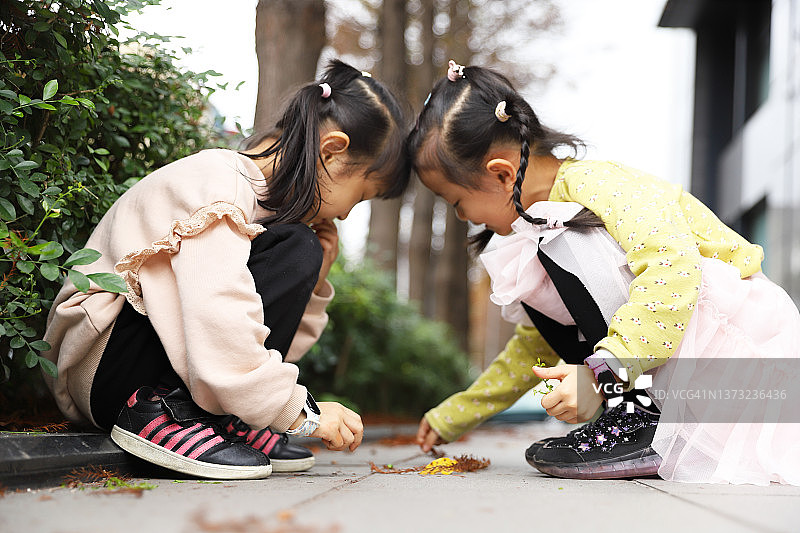 亚洲女孩在树下采摘树叶图片素材