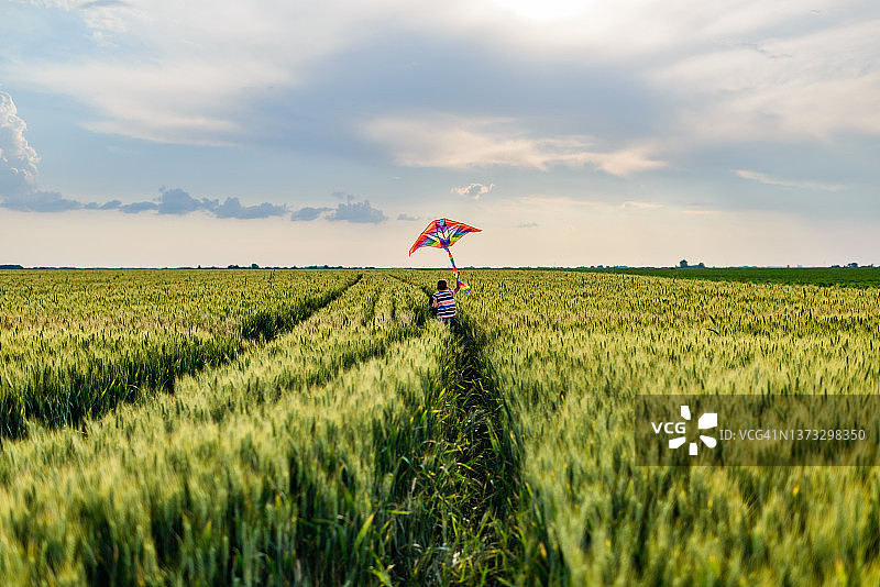 享受麦田的漂亮男孩图片素材