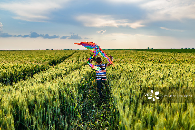 享受麦田的漂亮男孩图片素材