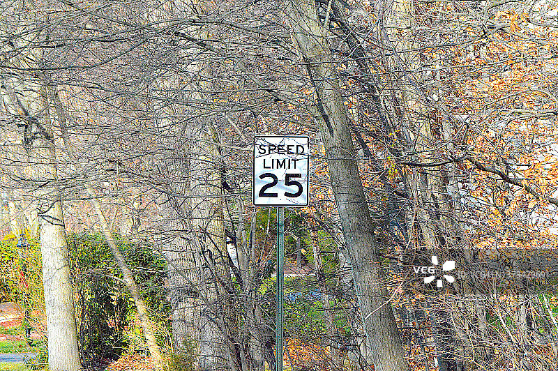 限速25标志图片素材
