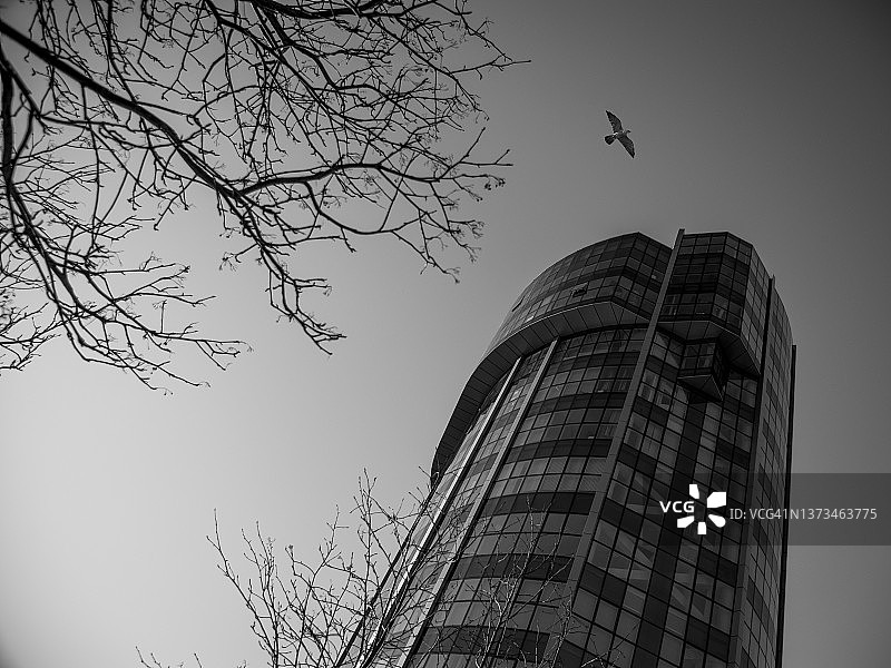 高层建筑极简主义景观图片素材