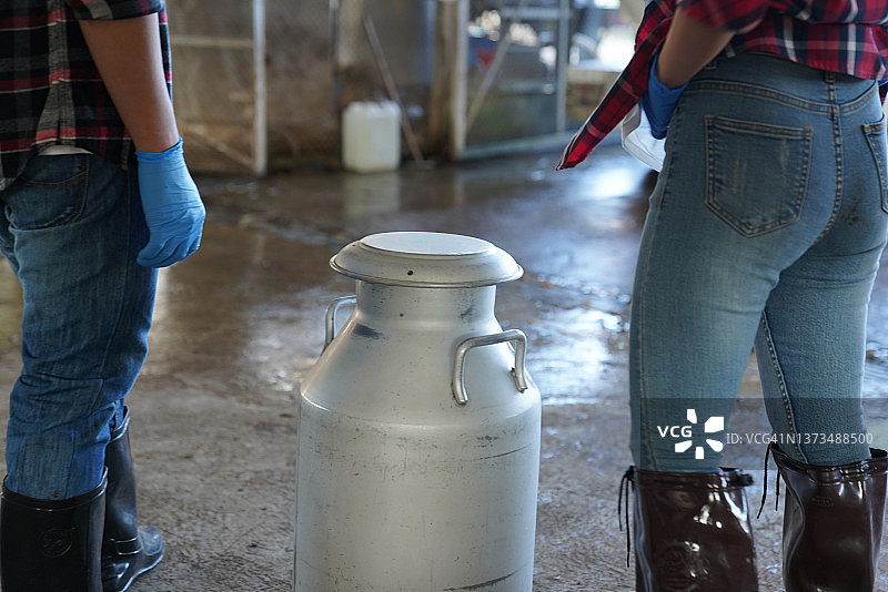 奶牛养殖与奶农工作场景图片素材