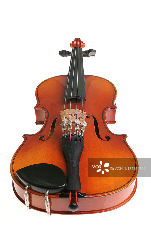 仅有小提琴图片素材