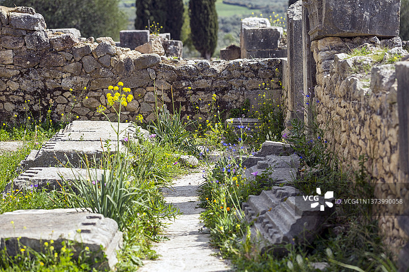 穆莱·伊德里斯，中阿特拉斯山脉，摩洛哥图片素材