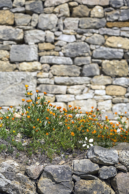 穆莱·伊德里斯，中阿特拉斯山脉，摩洛哥图片素材