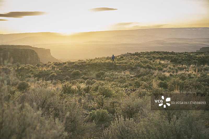 男人在日落时分穿越蒿属植物沙漠图片素材