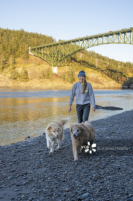 在欺骗海峡海滩上遛狗的女子图片素材