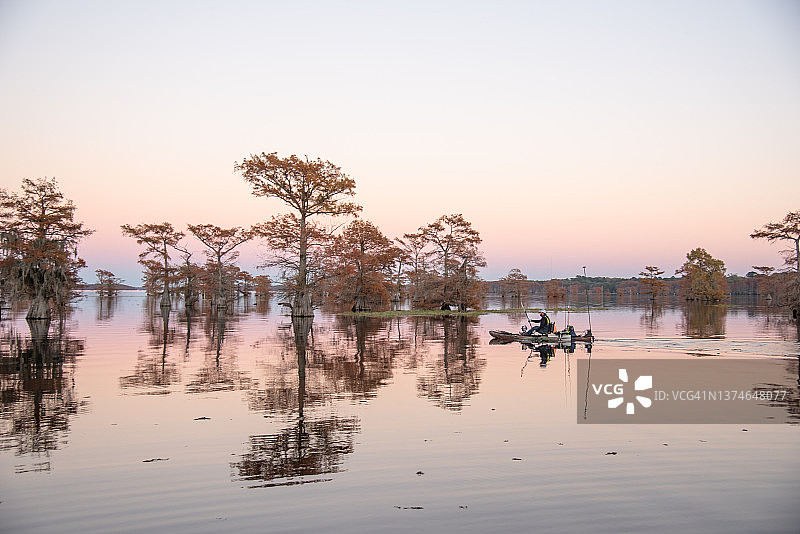 在柏树林中划皮划艇图片素材