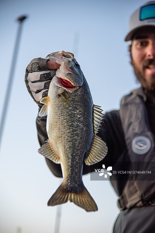 男人举着大嘴鲈鱼图片素材