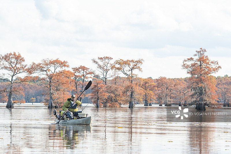 男子在柏树林中划桨图片素材