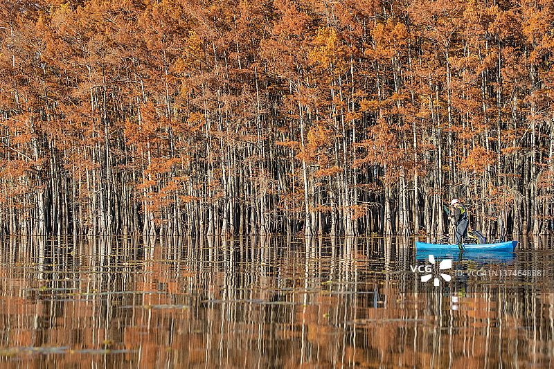 男人在秋天的柏树中站着划皮划艇图片素材