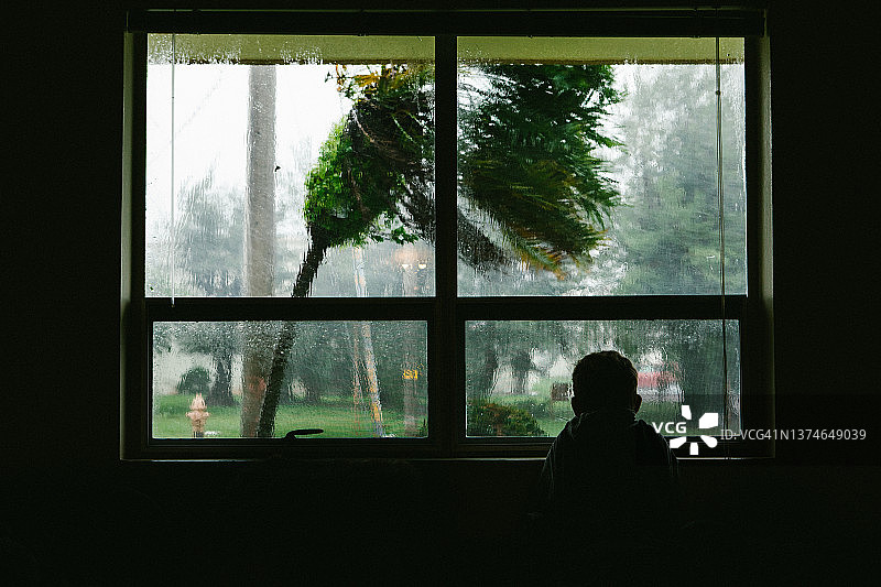 男孩在窗边观看热带台风的剪影图片素材