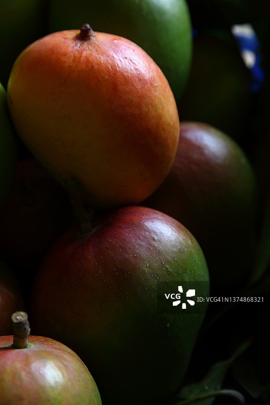 阿方索芒果图片素材