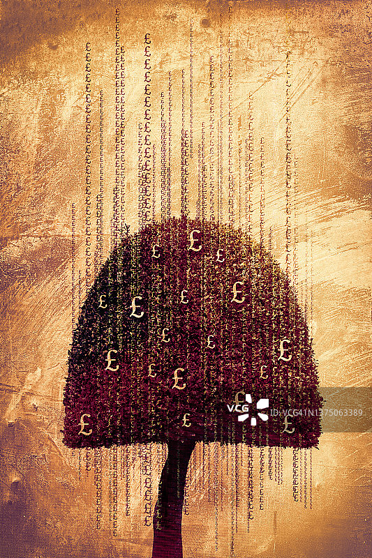 金钱树图片素材