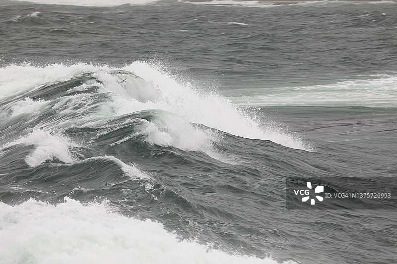 悉尼风暴4图片素材