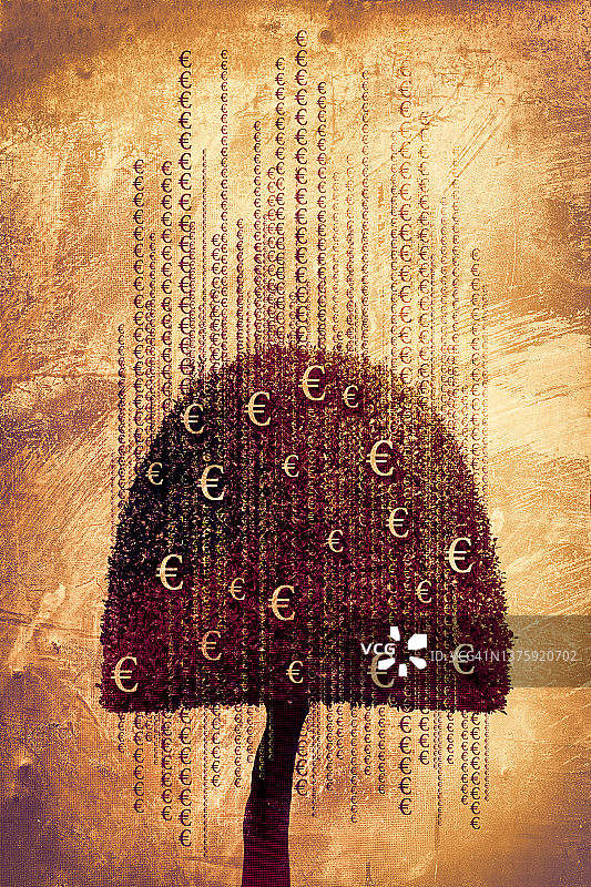 欧元树图片素材