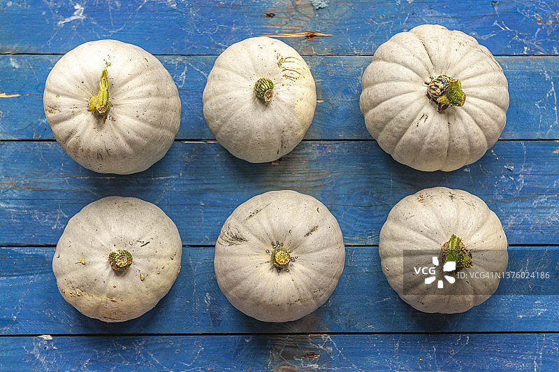 英国肯特郡利特尔本：六个皇冠王子南瓜图片素材