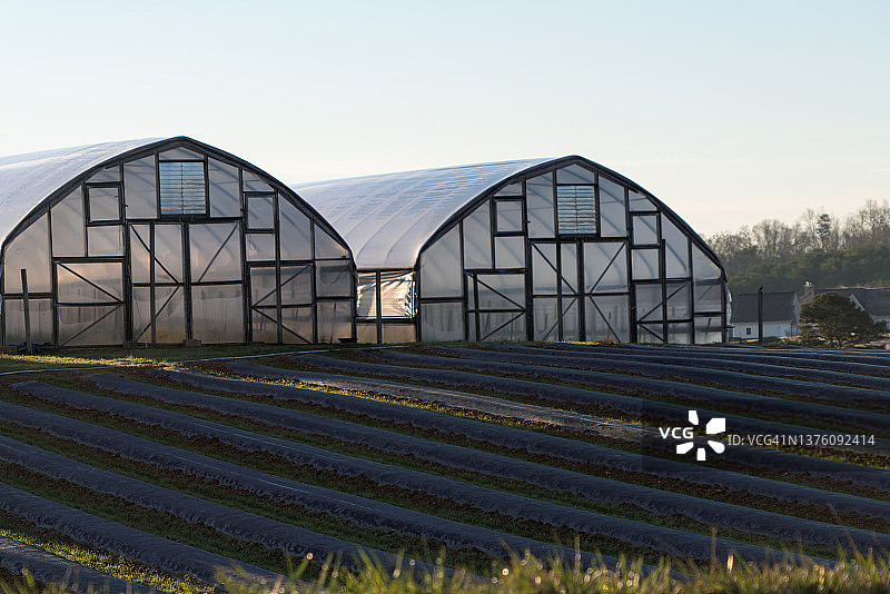 温室和大片的耕地图片素材
