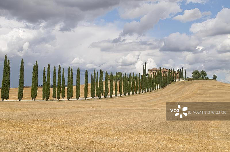 意大利托斯卡纳柏树大道风光图片素材