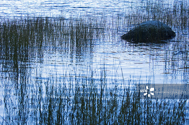 清晨光线图片素材