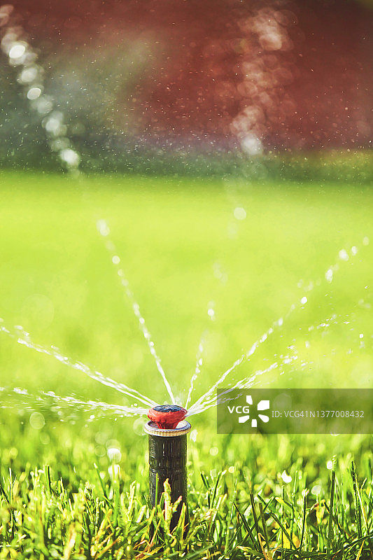 夏季后院工作的灌溉喷淋系统图片素材